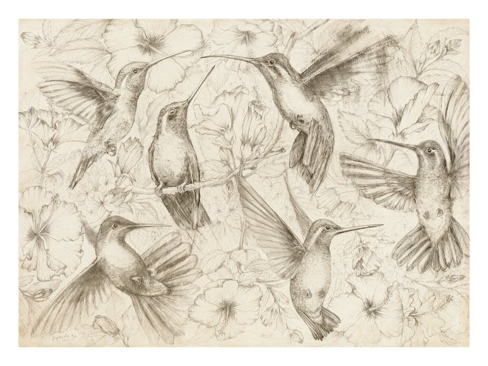 Idyllic Garden, Aga Szafranska