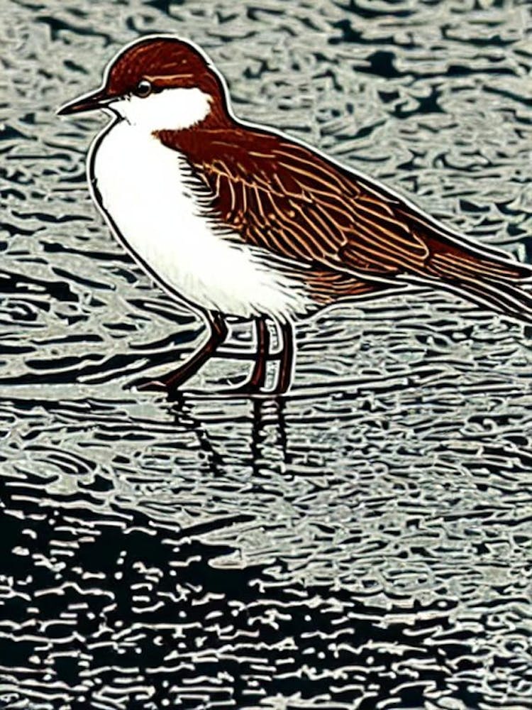 Dipper 2 Linocut Bird