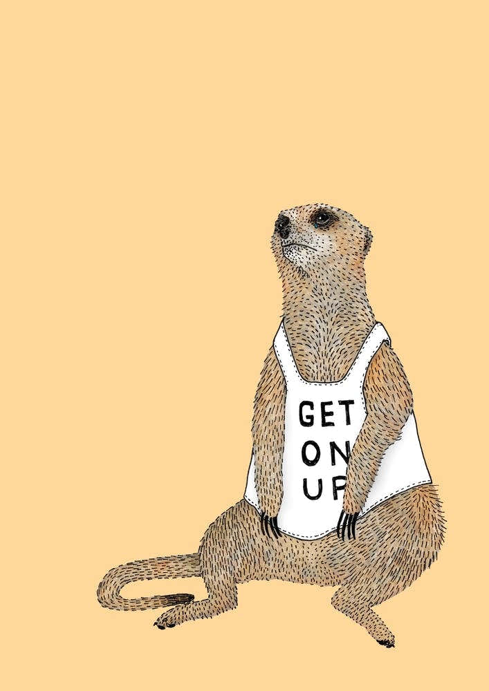 Mellow Meerkat