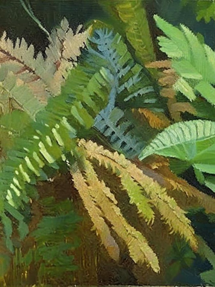 Hay Scented Fern Cézanne Style