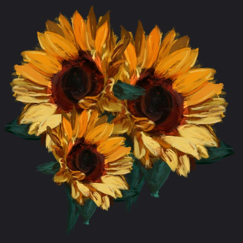 Sunflowers