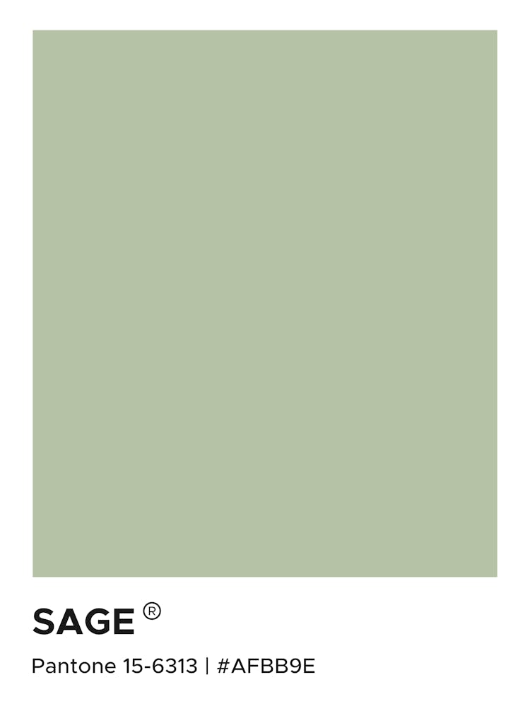 Sage Pantone, calm, green, cool, cute, swatches, luxury, aesthetic, pantone, colorful, pastel, home, decor, minimal, modern, summers, vibes, mood