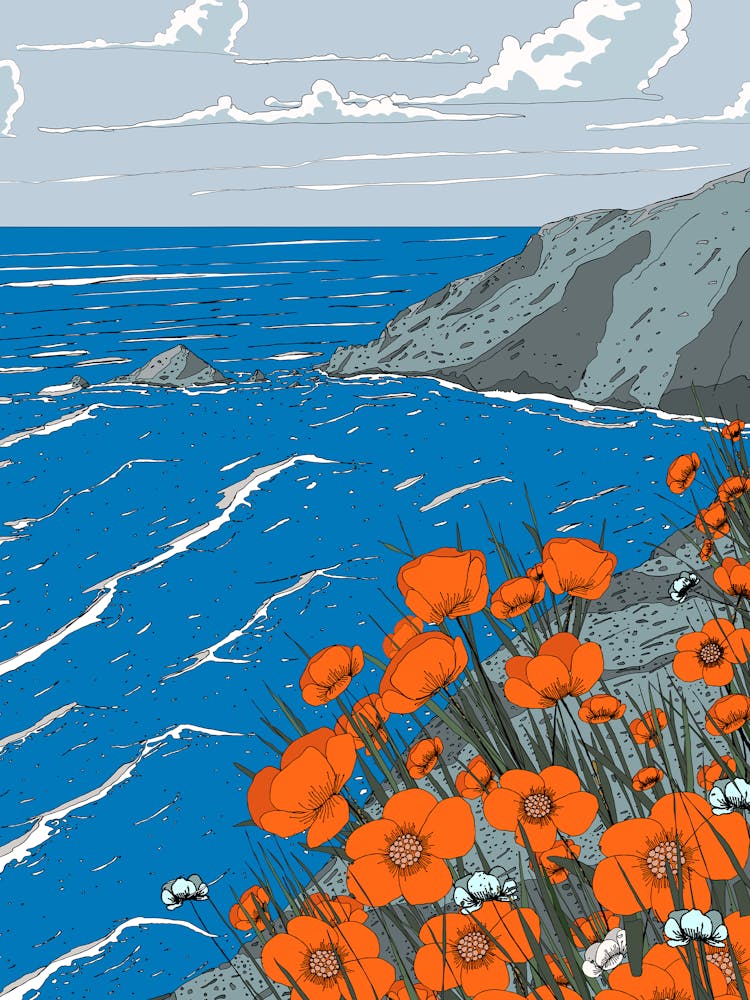 Poppies By The Sea