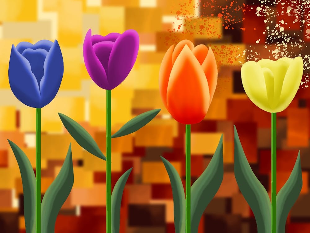 Tulips