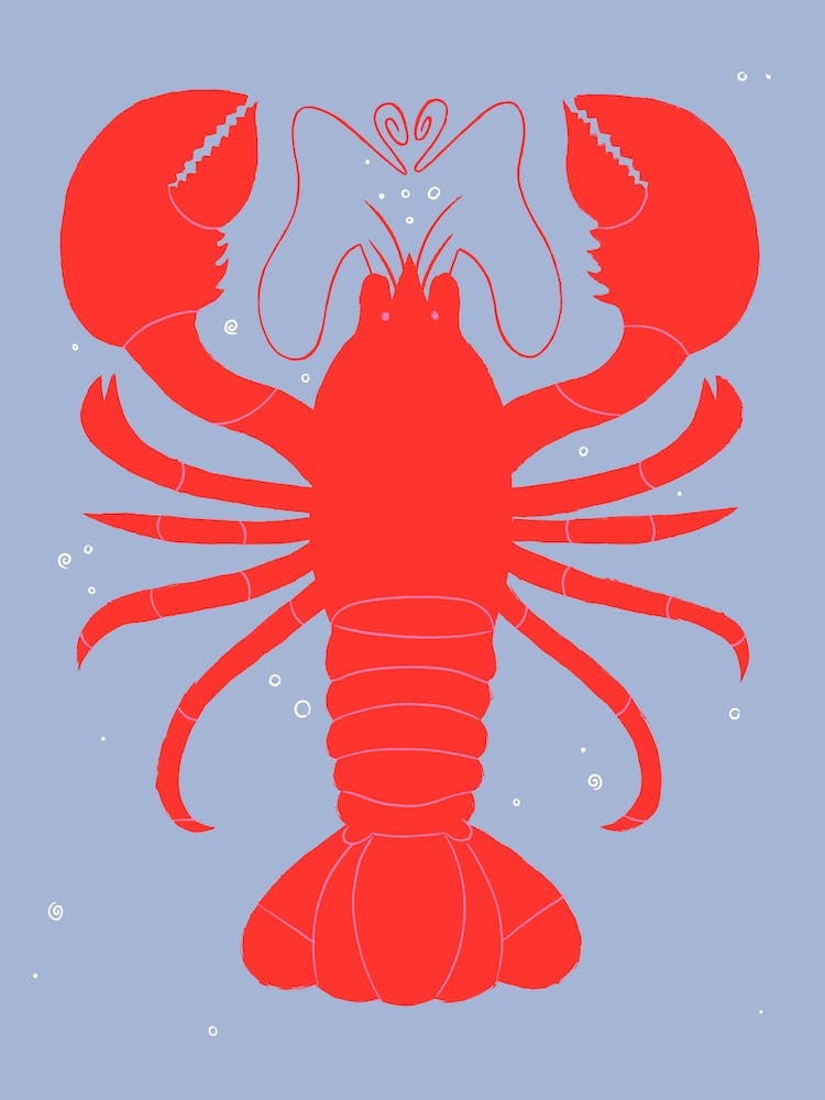 Lobster
