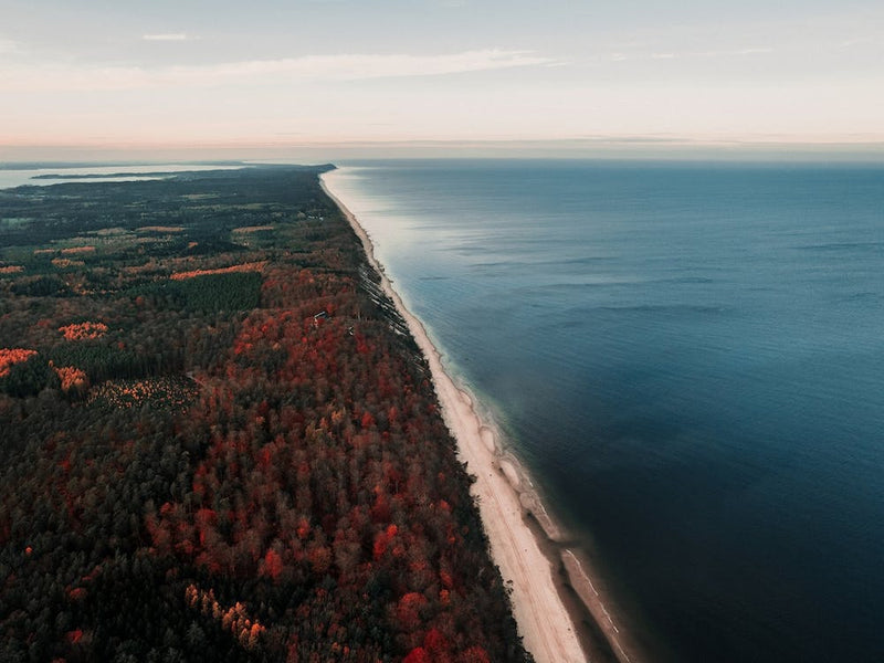 Baltic Coastline