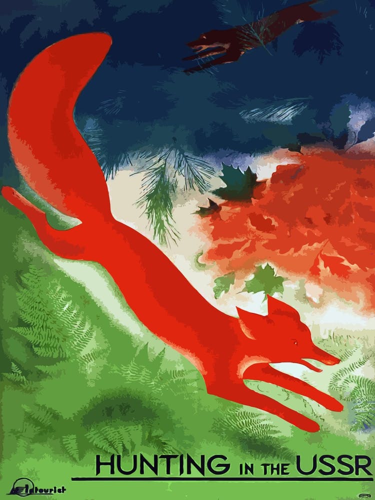 Dog Is Chasing Red Fox, Hunting In USSR