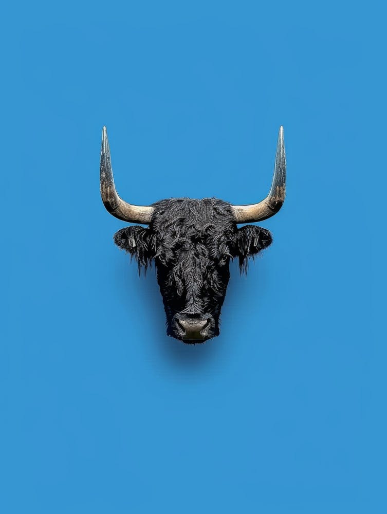 Bull Head 5