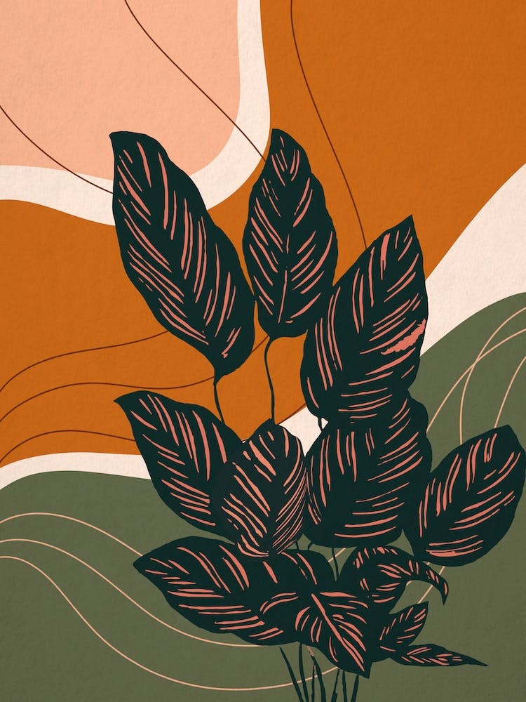 Abstract Shapes Calathea Plant