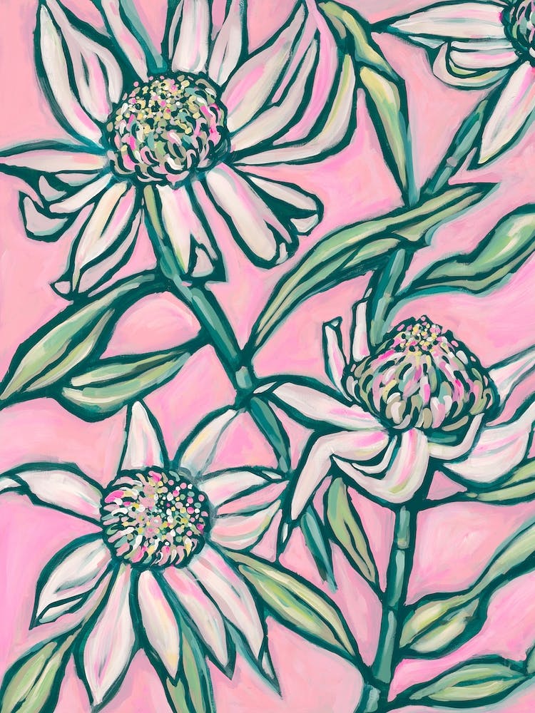 Pink Waratah Painting