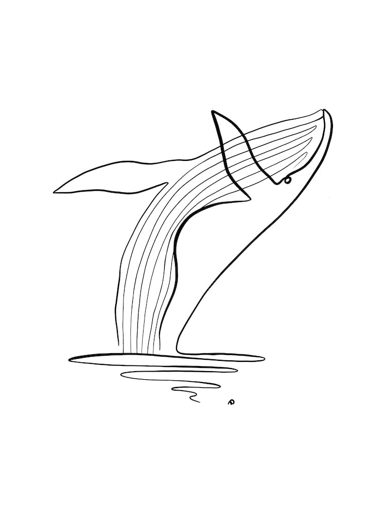 Whale One line Art