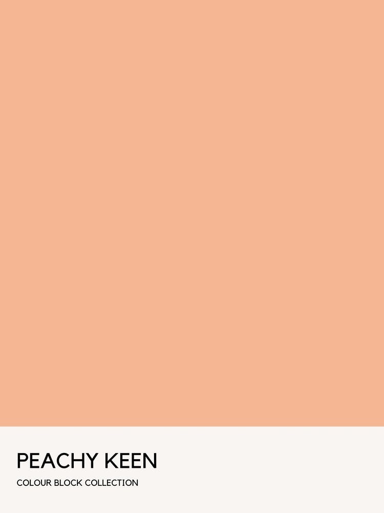 Peachy Keen Colour Block Poster