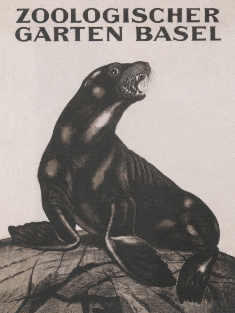 Seal In Zoo Vintage Poster