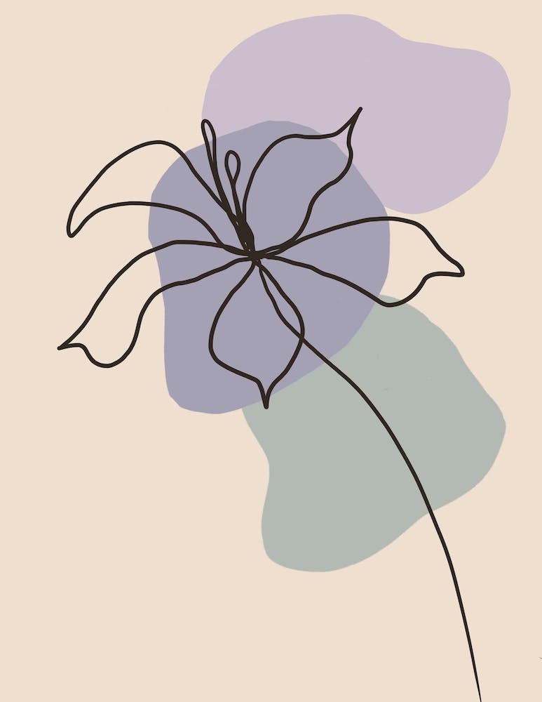 Minimalistische Linie Calla Pastelltöne