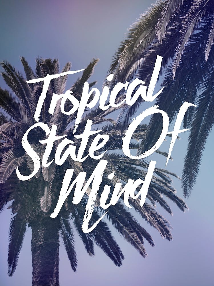 Galaxy Eyes Tropical State Of Mind