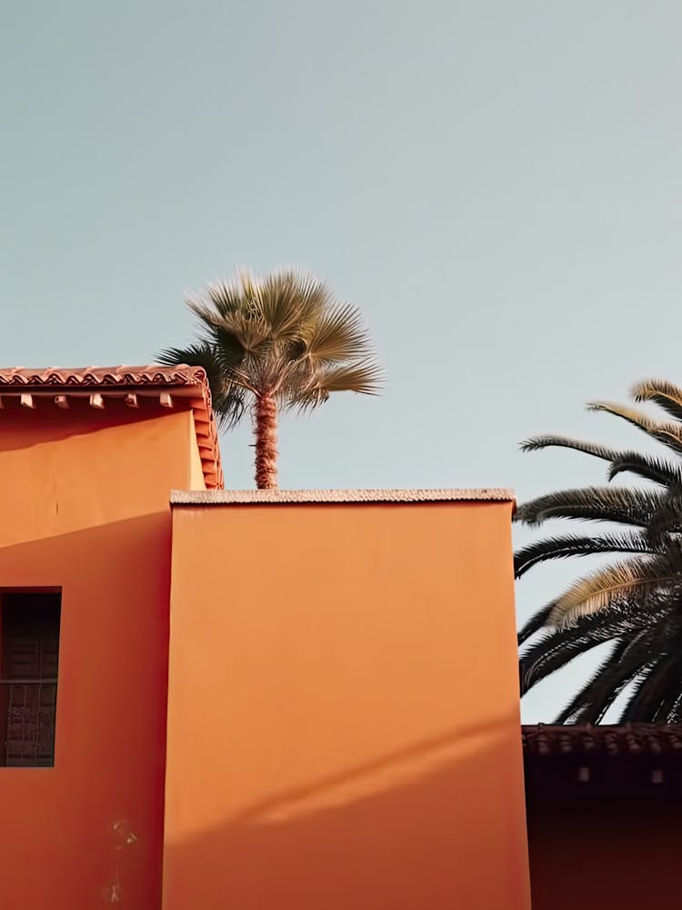 Orange House With Palms Retro Summer Photography 1