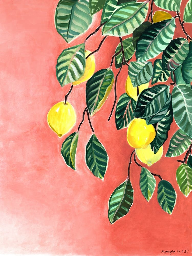 Lemons And Trees