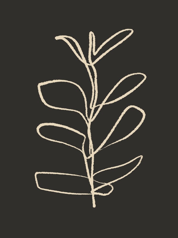 Leaf On A Black Background