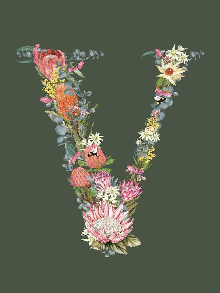 V Olive Alphabet Letter