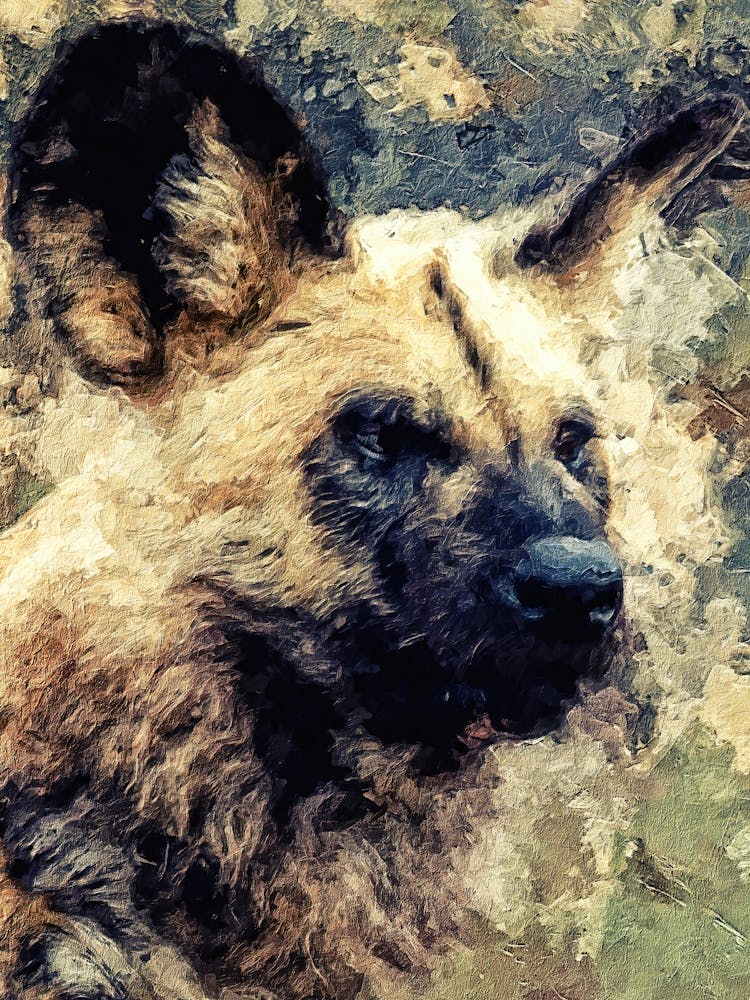 Wild Dog Painting