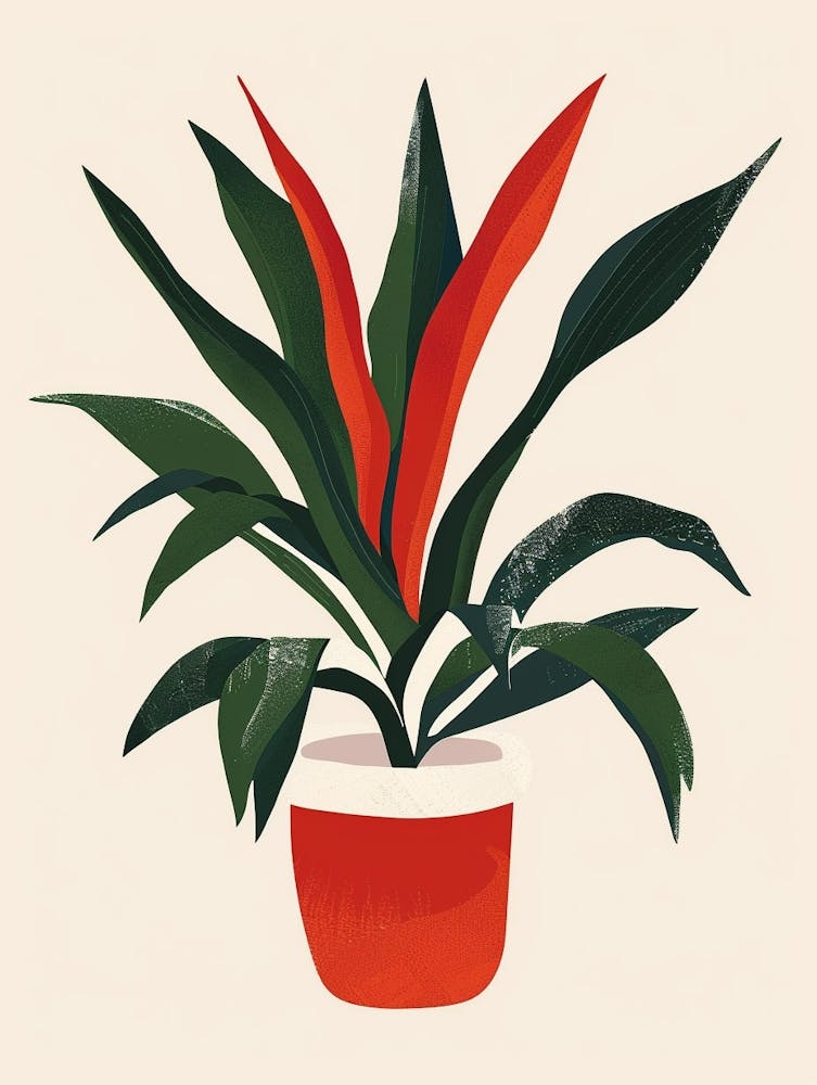 Bromeliad Plant Minimalist Illustration 8