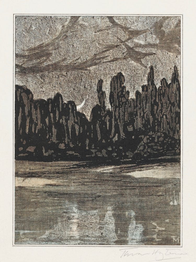 Nocturnal Landscape With Migratory Birds (1878–1907), Theo Van Hoytema