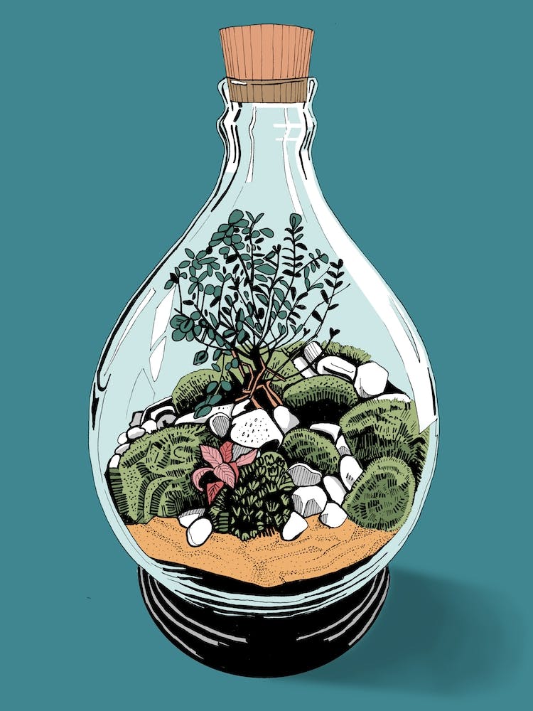 Bonsai Terrarium