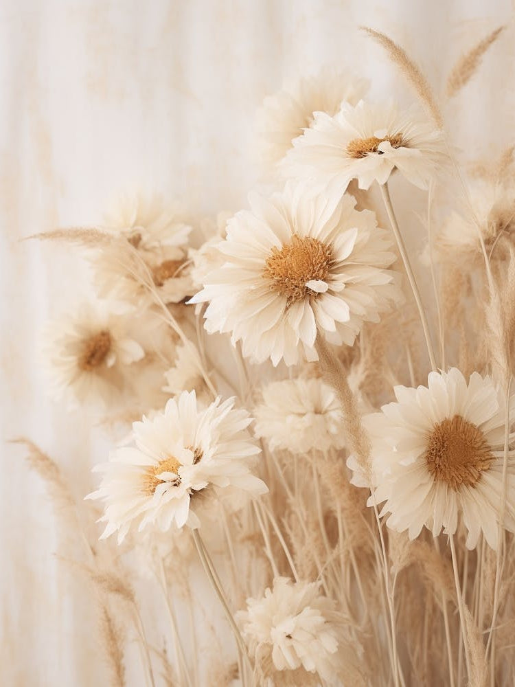 Boho Dried Flowers Daisy 6