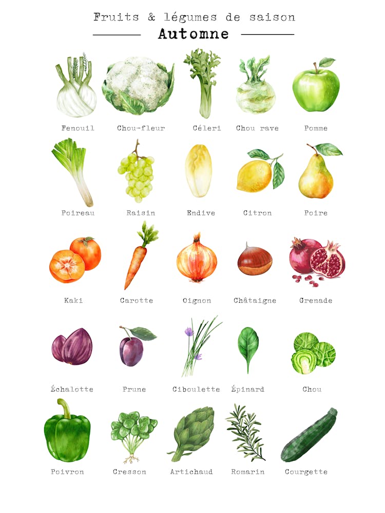 Fruits And Vegetables