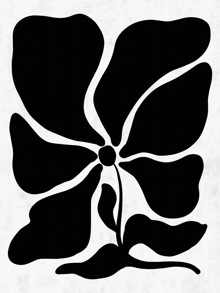 Fleur Noire et Blanche 35