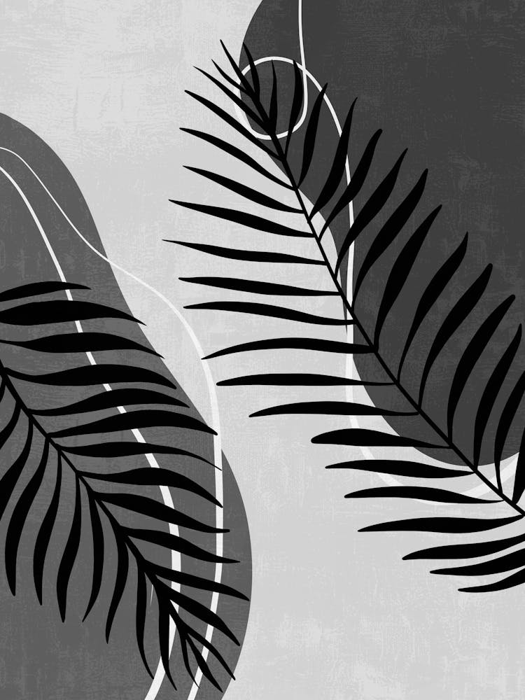 Palm Leaves Canvas Print