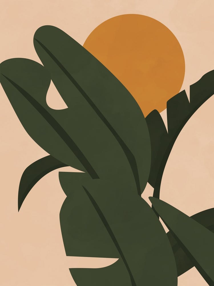 Banana Leaves