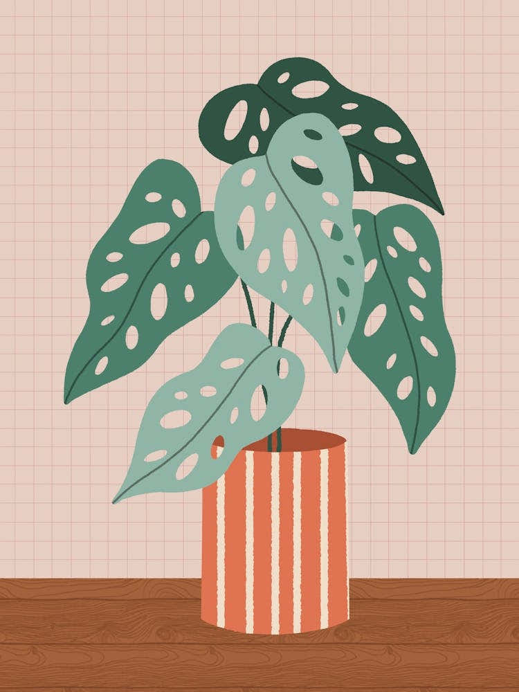 Plant In A Pot 1