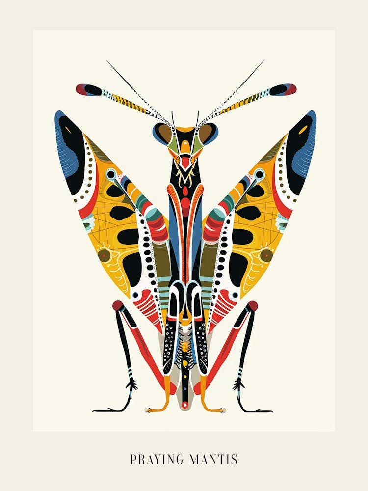 Colourful Insect Illustration Praying Mantis 7 Poster