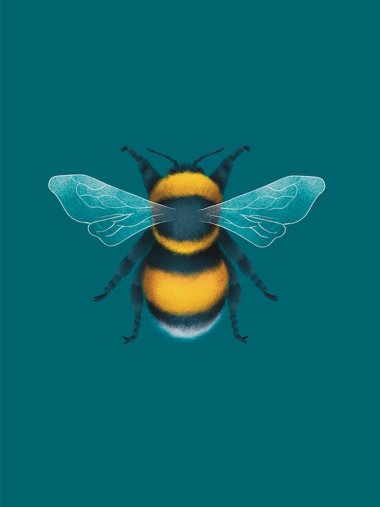 Teal and Mustard Bumblebee Drawing