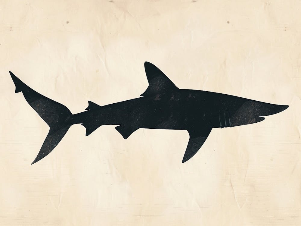 Thresher Shark Silhouette 3