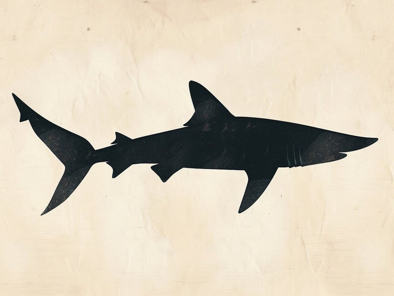 Thresher Shark Silhouette 3