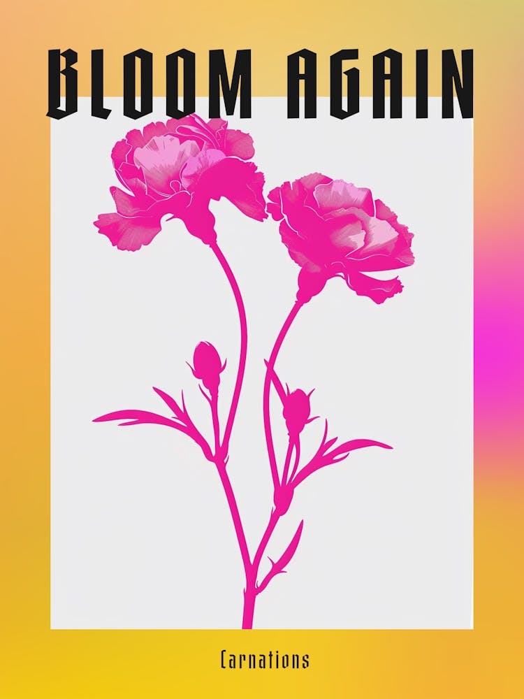 Hot Pink Carnations 3 Poster