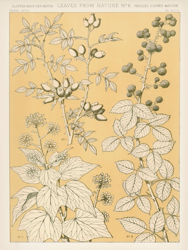 Vintage Flower Pattern, Owen Jones