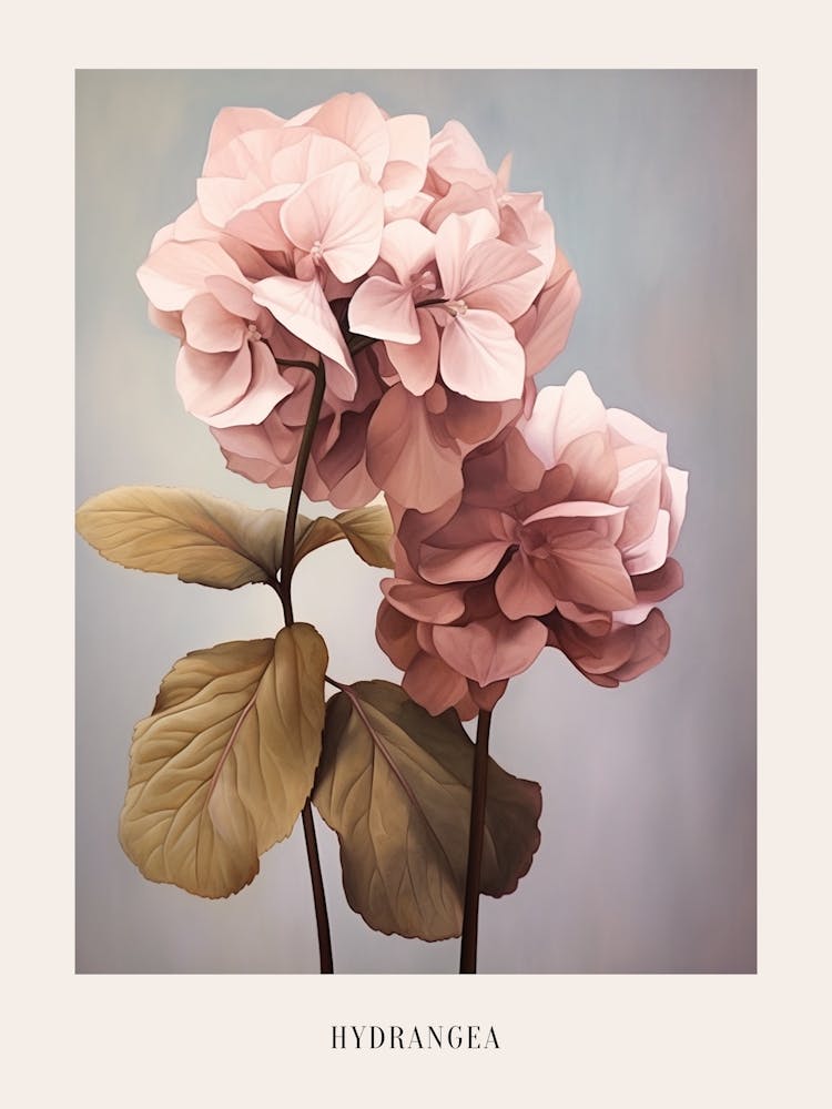 Floral Illustration Hydrangea 3 Poster