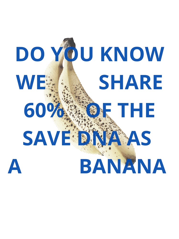 Do You Know We Share 60% Of The Dna As A Banana