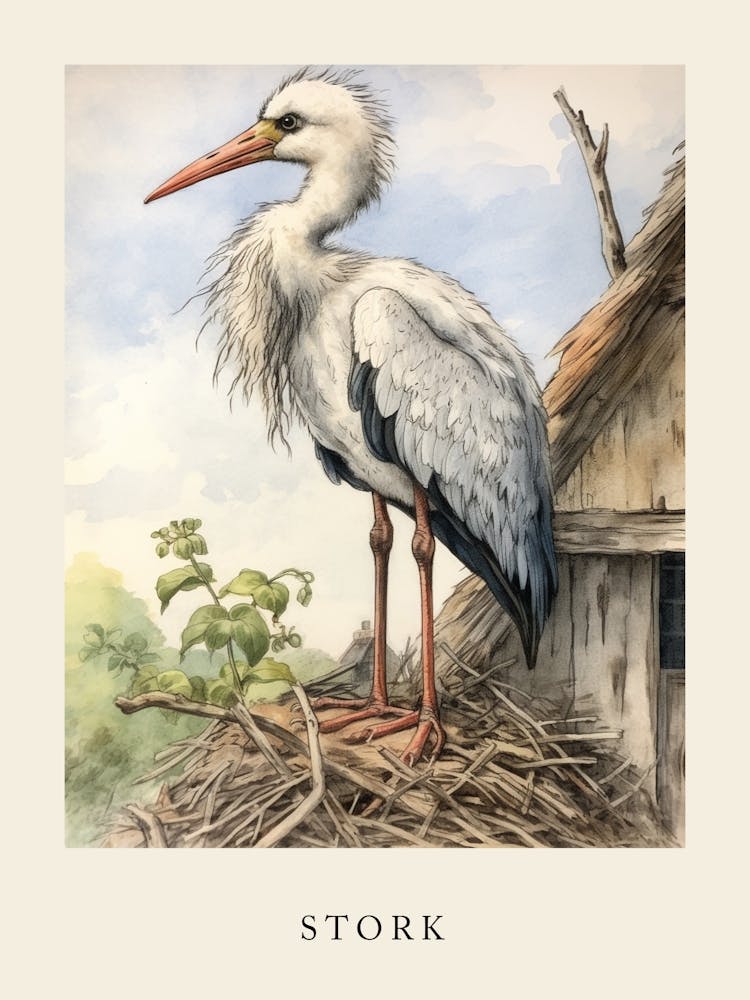 Beatrix Potter Inspired  Animal Watercolour Stork 1