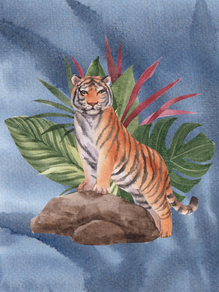 Tiger auf Felsen