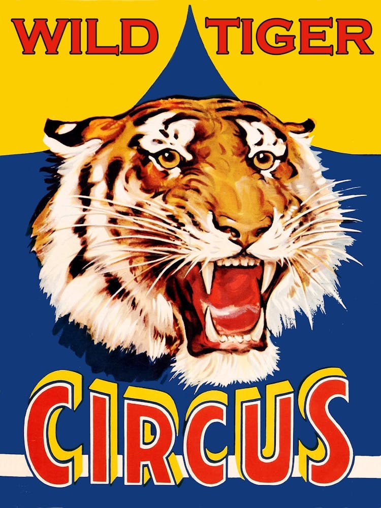 Wild Tiger Circus, Vintageplakat