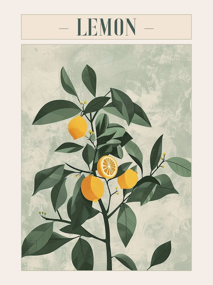 Lemon Tree Minimal Japandi Illustration 1 Poster