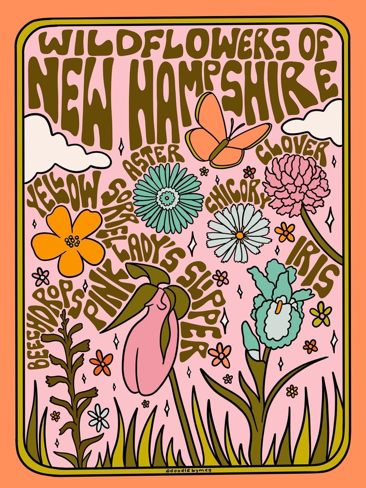 New Hampshire Wildflowers