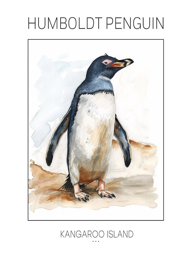 Humboldt Penguin Kangaroo Island Penneshaw Watercolour Painting 1 Poster