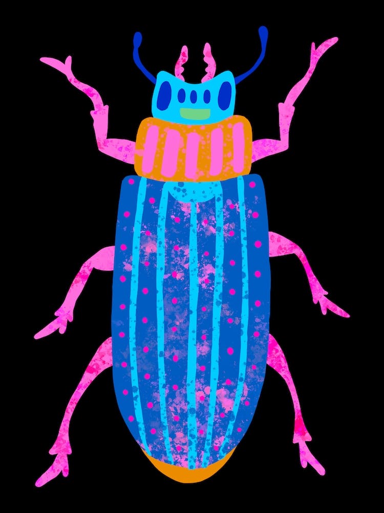 Jewel Beetle