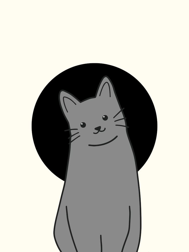 Gray Cat