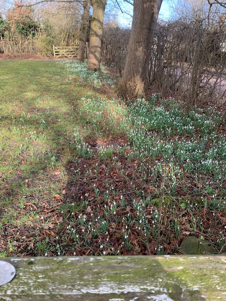 90e3ed4e 6de6 4d5e A80e 49292d2732b0